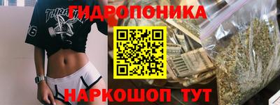 Альфа ПВП Гатчина
