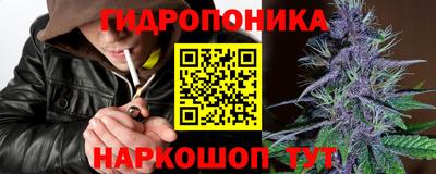 прущие грибы Азнакаево