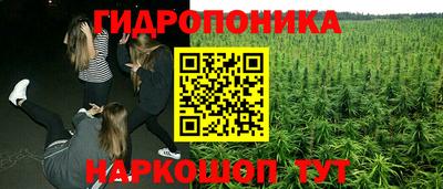 трава Гай