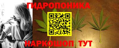 Альфа ПВП Гатчина