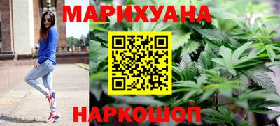 Альфа ПВП Гатчина