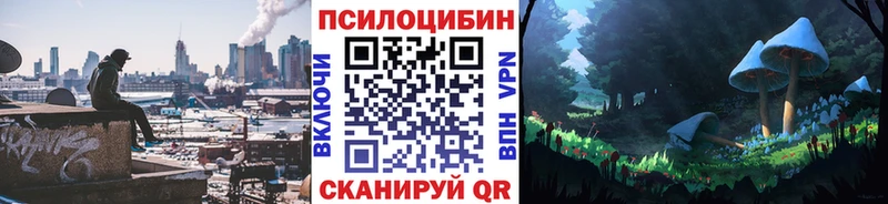 Псилоцибиновые грибы прущие грибы  дарнет шоп  мега сайт  Абинск 