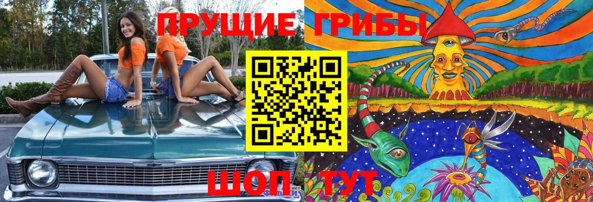 Галлюциногенные грибы GOLDEN TEACHER Абинск