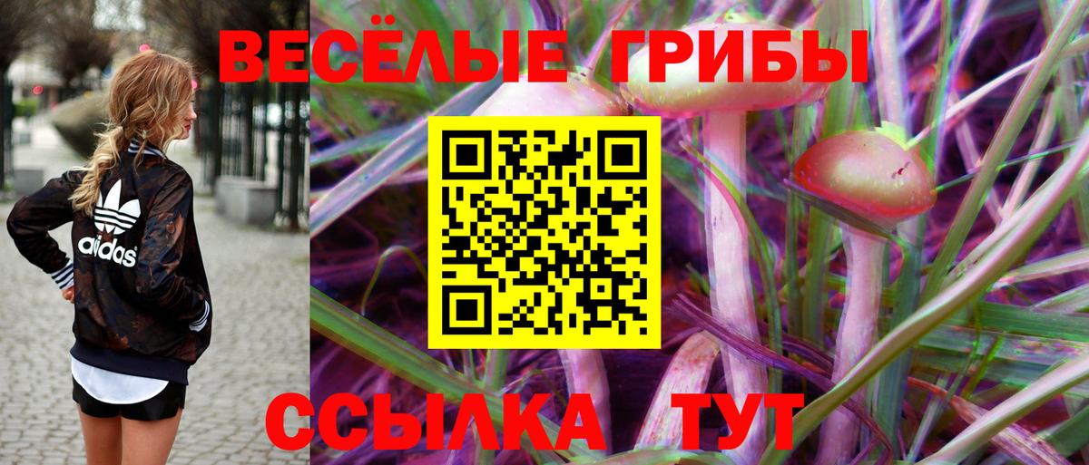 Галлюциногенные грибы MAGIC MUSHROOMS Абинск