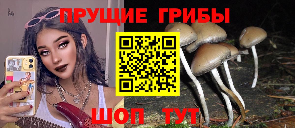 Галлюциногенные грибы Cubensis  Псилоцибиновые грибы Psilocybine cubensis  Вход с VPN  Абинск 