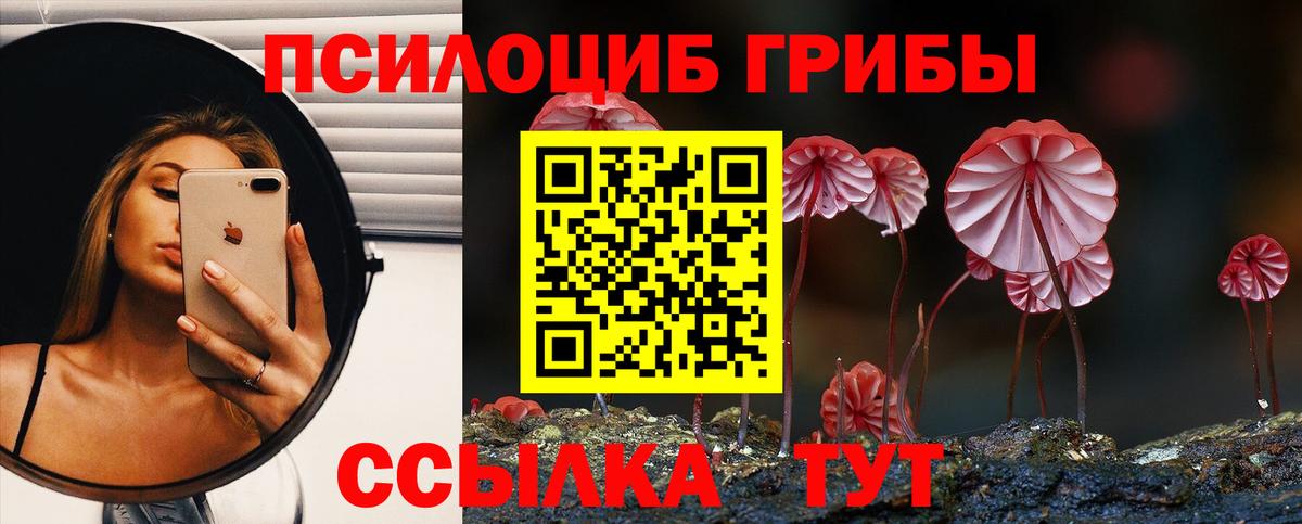 Абинск  Псилоцибиновые грибы ЛСД  Вход с VPN  Галлюциногенные грибы Psilocybe 