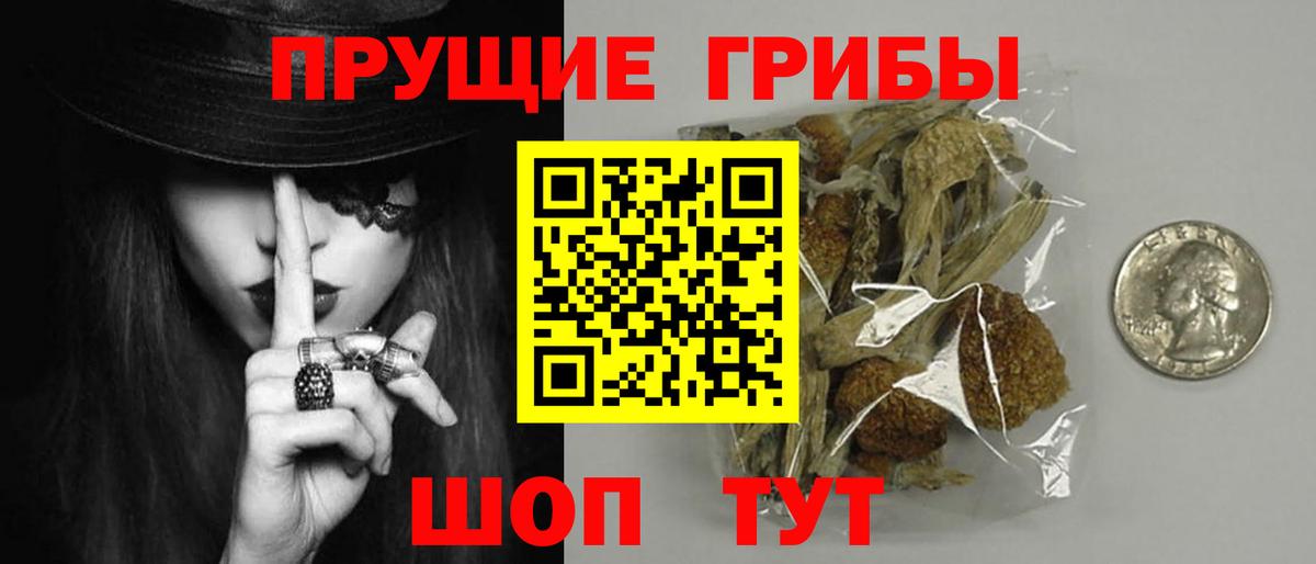 Галлюциногенные грибы Psilocybe  где купить наркоту  Псилоцибиновые грибы GOLDEN TEACHER  Абинск 